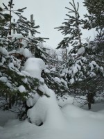 IMG_20220129_125940.jpg