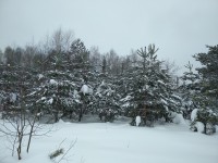 IMG_20220129_124745.jpg