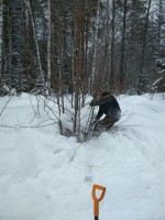 IMG_20220129_123341.jpg