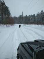 IMG_20220129_123031.jpg