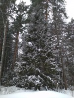 IMG_20220129_121443.jpg
