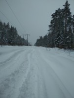 IMG_20220129_121434.jpg