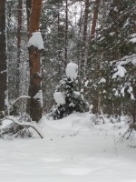 IMG_20220129_120303.jpg
