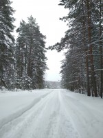 IMG_20220129_120232.jpg