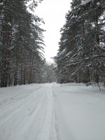 IMG_20220129_120125.jpg