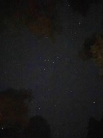 3D7792A1-90C7-4827-9D4D-7B4256D99100.jpeg