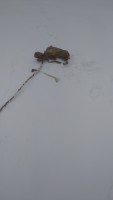 IMG-20220226-WA0021.jpeg
