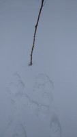 IMG-20220226-WA0006.jpeg
