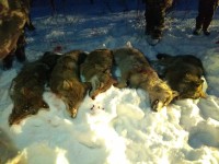 IMG_20220312_185406.jpg