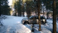 IMG_20220318_163552.jpg