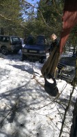 IMG_20220320_120701.jpg