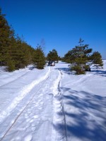 IMG-20220319-WA0004.jpg