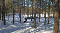 IMG-20220319-WA0008.jpg