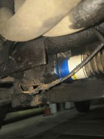 IMG_20220321_200731.jpg