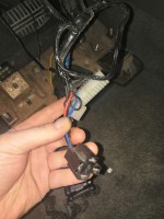 IMG_20220321_201315.jpg