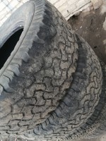 IMG_20220325_085406.jpg