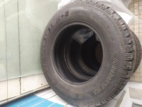 IMG_20220328_091335.jpg