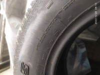 IMG_20220328_091349.jpg