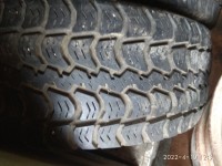 IMG_20220410_123110.jpg