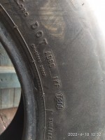 IMG_20220410_123218.jpg