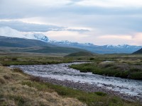IMG_4187.jpg