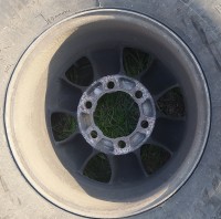 IMG_20220509_084803.jpg