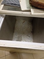IMG_20220512_110421.jpg