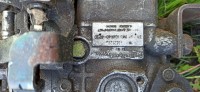 IMG_20220528_170756.jpg