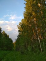 IMG_20220611_201619.jpg