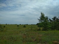 IMG_20220613_134736.jpg