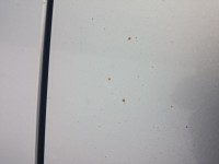 QNzzesVWqtoeu7oL1snEmcR314o-960.jpg