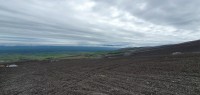 20220721_145104.jpg