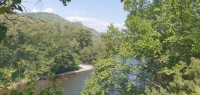 20220724_151127.jpg