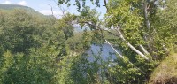 20220724_151146.jpg