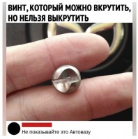 363636.JPG