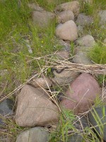 IMG_20220725_141626.jpg