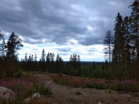 IMG_20220726_162815.jpg