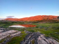 IMG-20220814-WA0049.jpg