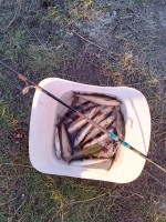 IMG_20220803_205133.jpg