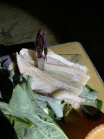 IMG_6307.JPG