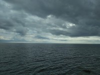 IMG_20220725_140150.jpg