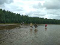IMG_20220725_142230.jpg