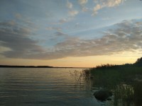 IMG_20220725_211150.jpg