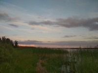 IMG_20220725_211713.jpg