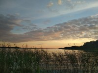 IMG_20220725_211718.jpg