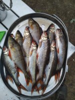 IMG_20220727_111319.jpg