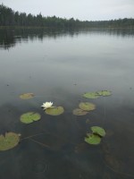 IMG_20220727_130238.jpg