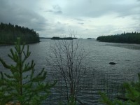IMG_20220727_143542.jpg