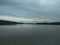 IMG_20220727_153357.jpg