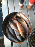 IMG_20220727_205527.jpg